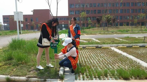 医学院成功举办绿色标语牌环保宣传活动 -安