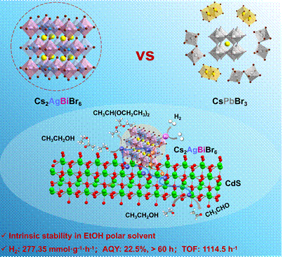 Graphical Abstract Image Graphical Abstract Image